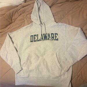 Champion Delaware Hoodie